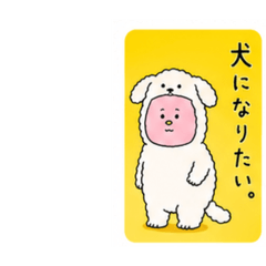 pamyu_20260621164516