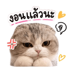 Chibi meow no.2