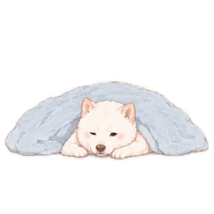狗ー！！