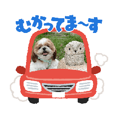 Momo_20260628201904