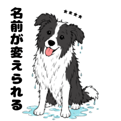 名前入りボーダーコリー2ブラック