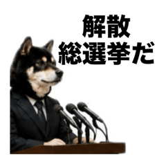 Mozuku_shibainu_20260619080344