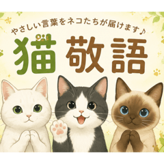 odayakamaigo_20260619165706