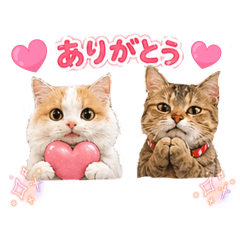 satomi0401_20260619183354