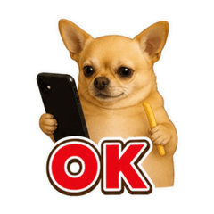 Pomchi lover_20260625012541