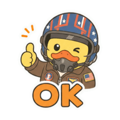 Pilot duck
