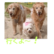 Let 's play with Fuuta & Haruhi & Natu