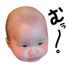 momo_20260629134525