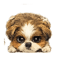 moko_20260620003443