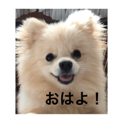 simple stamp of dog