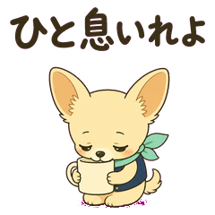 Overtime Chihuahua Check-ins
