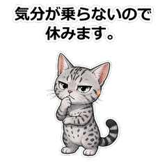貓咪エジプシャン拒絕高手貼圖