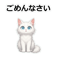 貓咪ターキッシュA拒絕高手貼圖