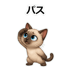 貓咪トンキニーズ拒絕高手貼圖