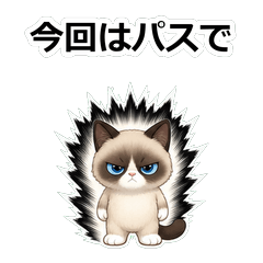 貓咪スノーシュー拒絕高手貼圖