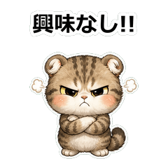 貓咪キンカロー拒絕高手貼圖