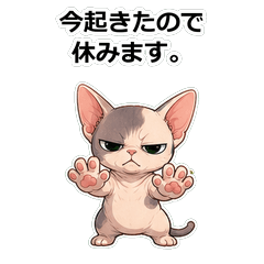 貓咪ミンスキン拒絕高手貼圖