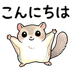 Cute Flying Squirrel Stickers!