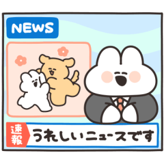 News Rabbit