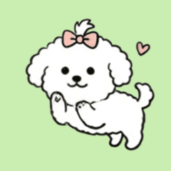 Animated Fluffy Bichon Frise