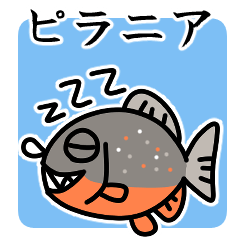 Fun Piranha