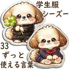 3D Shih tzu 2026 (school uniform) 33