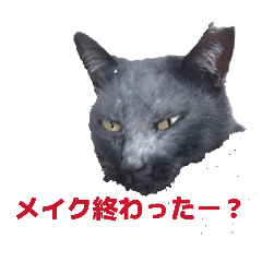 Kuronya-_20260619095834