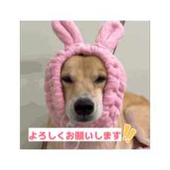 hime_20260626212155