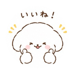 maru_20260620125647