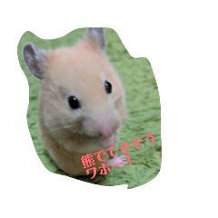 Qoo_20260620135620