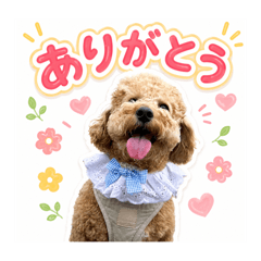 na_chan_20260620140108