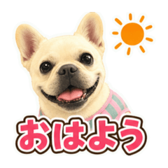 nana_20260620140747