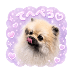 animal_20260620141235