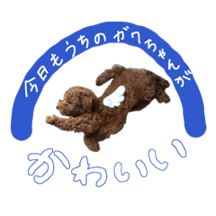 Natsu_20260620141526