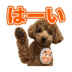 Shinji_20260620145953