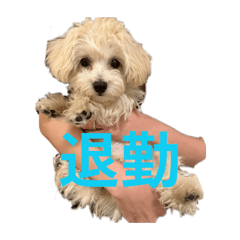arisa_20260620150251