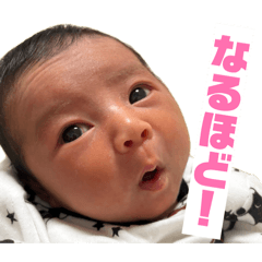 doubutsuyochi_20260620150259