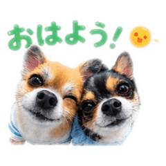 Sora &Roi_20260620152606