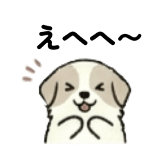 Teddy_20260620153430