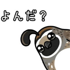 California Quail: Daily Stickers