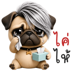 Tough Pug (Kum-muang)