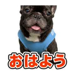 tukikoyokai_20260620154219