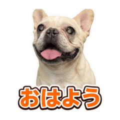 tukikoyokai_20260620154449