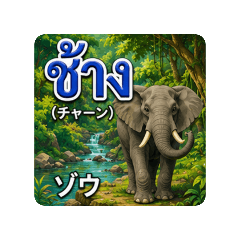 Learn Thai Animal Names!