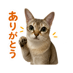 ICHIKA_20260620155023