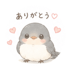 Misa do mignon_20260620160049