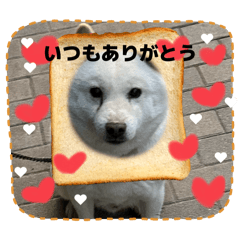 FUKU1001_20260620162302