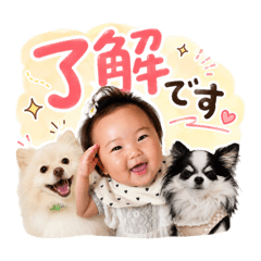 waki_20260620162536