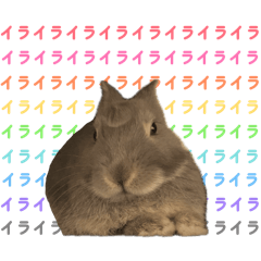 azukichi_20260620163940