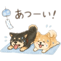 nozomi_20260620164709